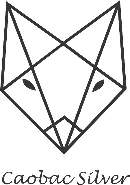 Mẫu thiết kế logo CaoBac Silver