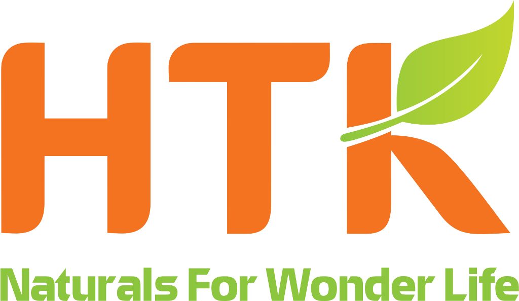 Mẫu thiết kế logo công ty Hoàng Tuấn Khoa