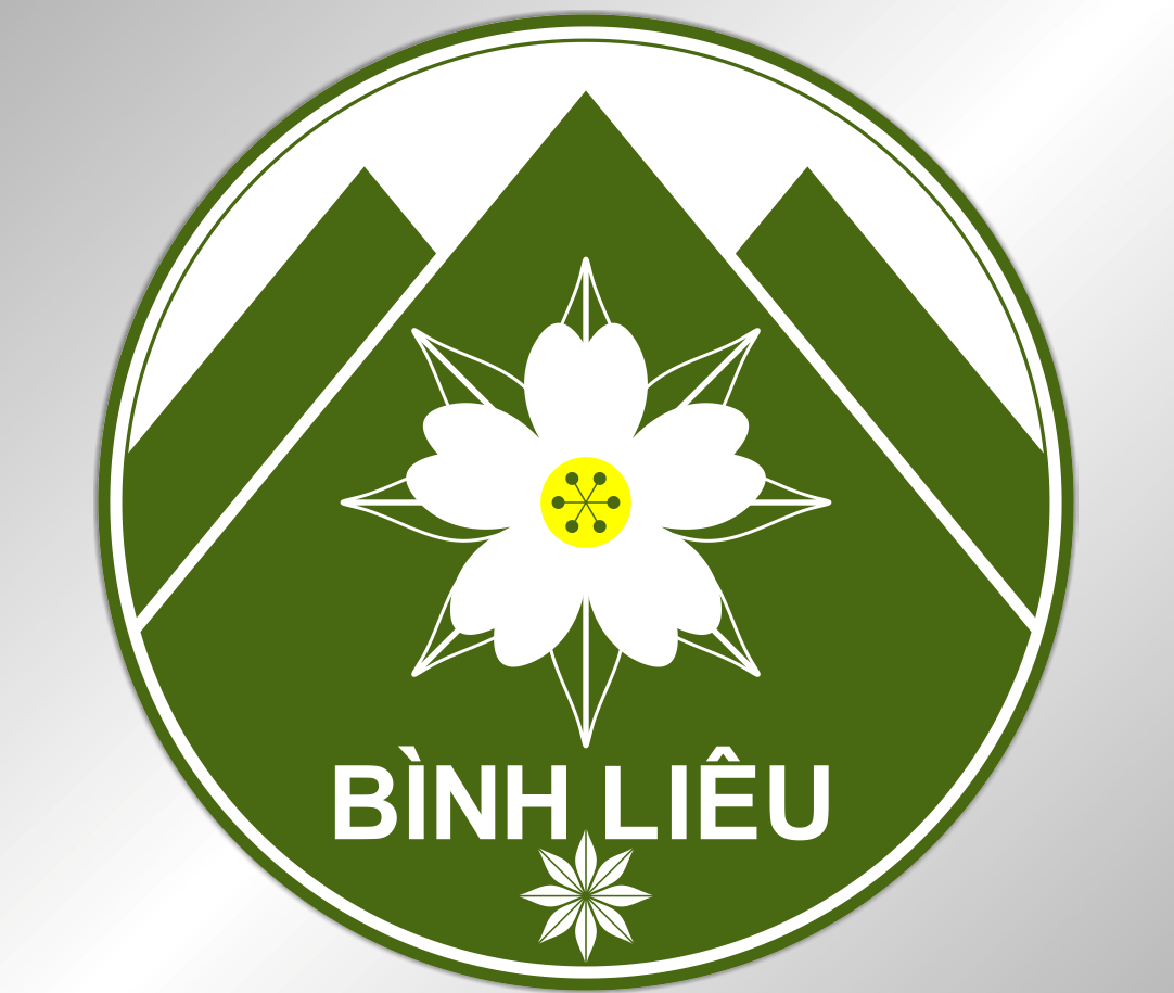 Mẫu thiết kế logo huyện Bình Liêu