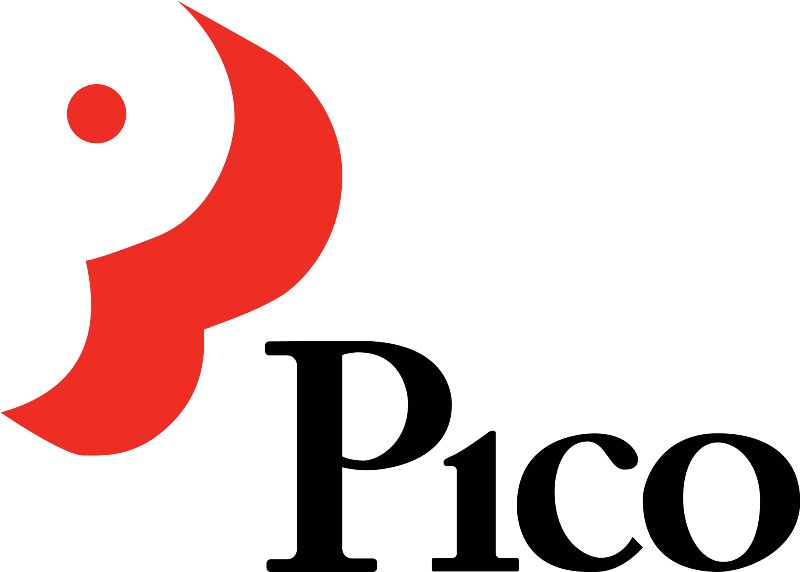 Mẫu thiết kế logo Pico