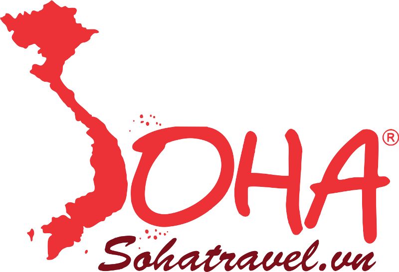 Mẫu thiết kế logo công ty du lịch Soha Travel