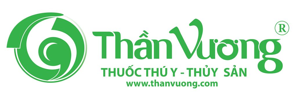 File thiết kế vector - Logo Công ty TNHH Thần Vương