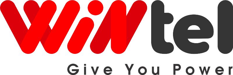 Mẫu thiết kế logo Wintel - Hình 1