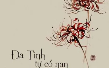 Đa tình tự cổ nan di hận dĩ hận miên miên bất tuyệt kỳ nghĩa là gì?