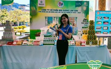 Mẫu áo Đoàn thanh niên Lasuco - Công ty mía đường Lam Sơn