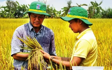 Top 10+ Mẫu áo đồng phục công ty phân bón nổi tiếng