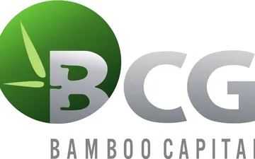 File thiết kế vector - Logo Bamboo Capital Group (BCG)