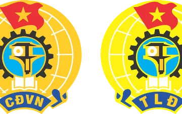 thiết kế logo