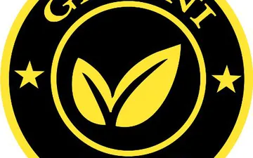 File thiết kế vector - Logo Gemini Coffee mới nhất