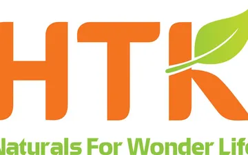 File thiết kế vector - logo Công ty Hoàng Tuấn Khoa