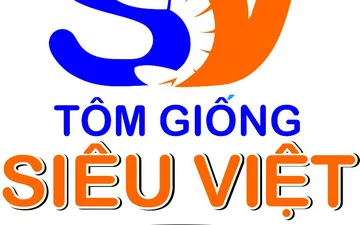 File thiết kế vector - Logo Công ty Tôm Giống Siêu Việt Ninh Thuận