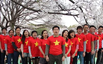 Trước khi mua áo thun lá cờ cần nắm những thông tin gì?