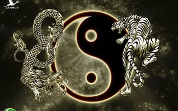 Ngọa hổ tàng long nghĩa là gì? phân tích chi tiết 