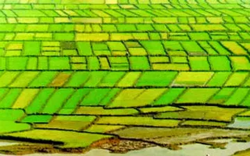 Ý nghĩa của áo phước điền y (áo cà sa)