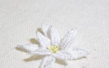 Hướng dẫn thêu 3D bằng mũi thêu woven picot Stitch
