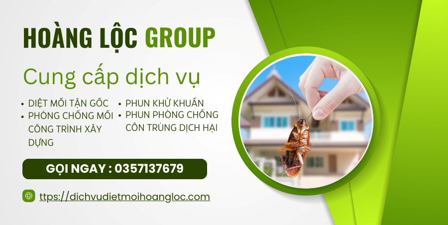 Phòng và Xử Lý Chống Mối Nền Móng trong Xây Dựng