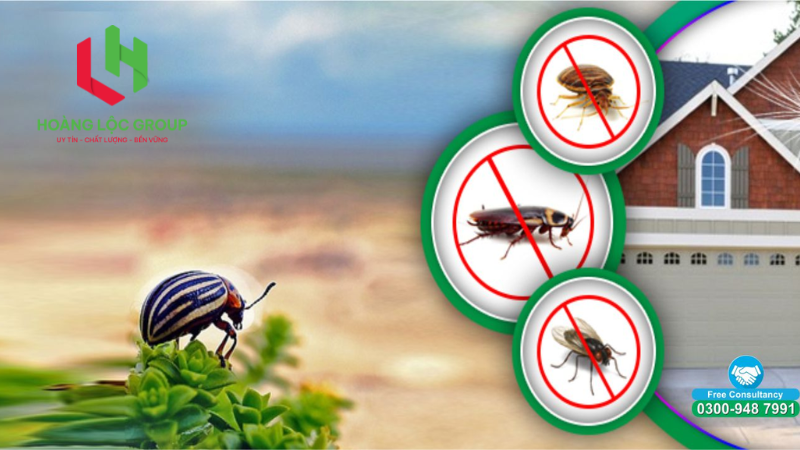 Đánh giá của CHỊ TRANG ở Phường 5, Đà Lạt