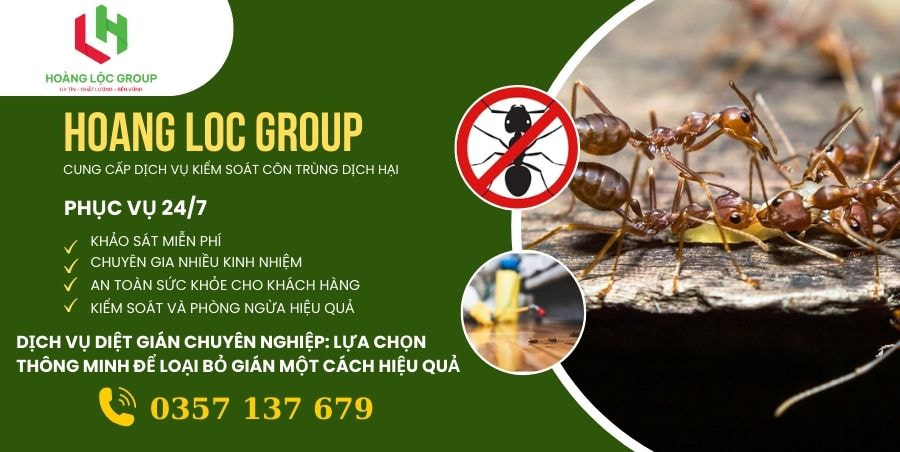 Trong ngành xây dựng, mối được coi là một trong những kẻ thù lớn nhất của nền móng của các công trình. Mặc dù nhỏ bé, mối có thể gây ra những hậu quả nghiêm trọng và ảnh hưởng không lường trước đến tính an toàn và bền vững của nền móng.