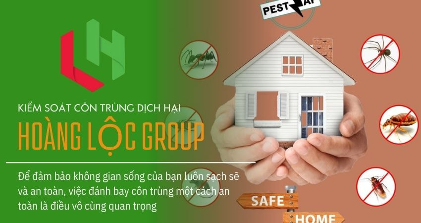 Phân Tích Ưu Nhược Điểm Của Các Phương Pháp Diệt Mối – Công Ty Dịch Vụ Diệt Mối Uy Tín Cho Biết
