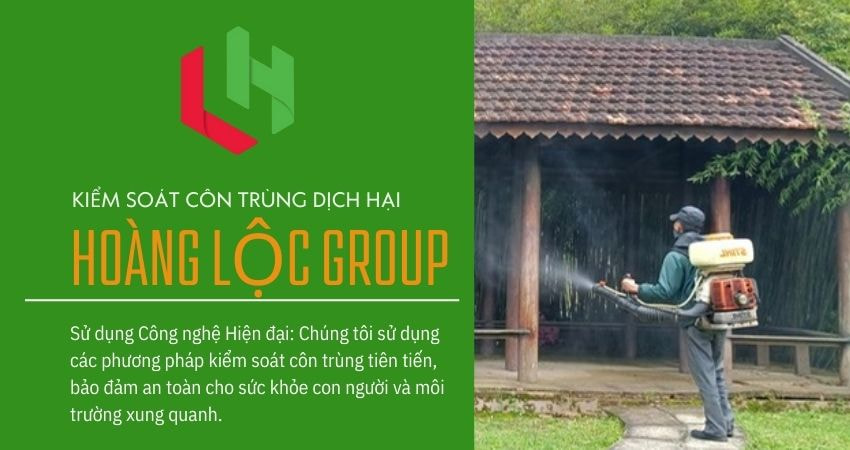 Tránh Ngay 5 Sai Lầm Thường Gặp Khi Diệt Mối Tại Nhà – Công Ty Dịch Vụ Diệt Mối Cảnh Báo