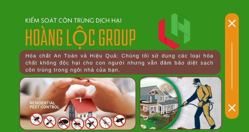 Dịch Vụ Diệt Côn Trùng Chuyên Nghiệp Hoàng Lộc Group Tại Lâm Đồng