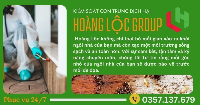 Bí Quyết Bảo Quản Đồ Gỗ Sau Khi Diệt Mối – Chia Sẻ Từ Công Ty Diệt Mối Uy Tín