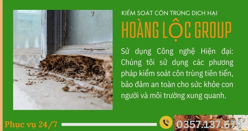 Hướng Dẫn Cách Kiểm Tra Mối Tại Nhà Một Cách Đơn Giản Và Hiệu Quả Từ Công Ty Dịch Vụ Diệt Mối Tận Gốc