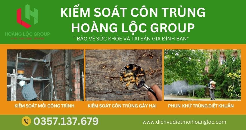 Công ty dịch vụ diệt mối Hoàng Lộc Group sẵn sàng tư vấn và cung cấp các giải pháp diệt mối hiệu quả nhất, giúp bạn bảo vệ ngôi nhà của mình một cách toàn diện