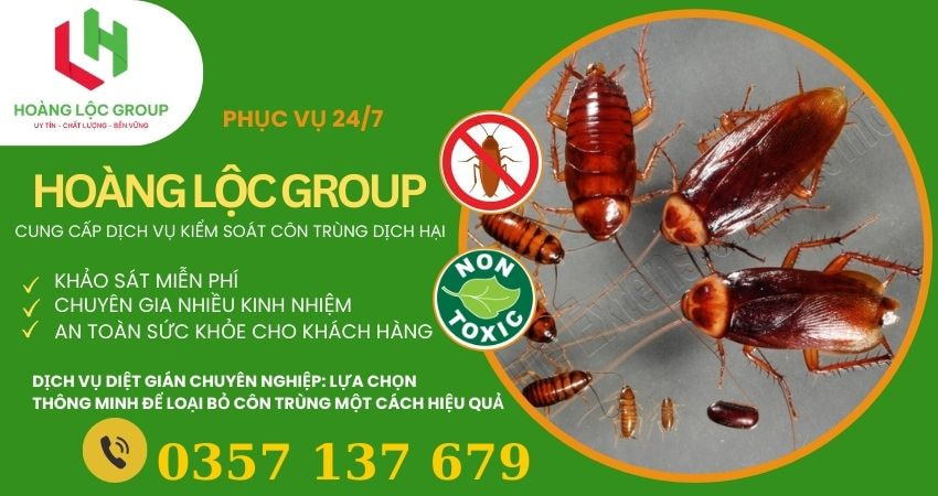Tại Sao Việc Diệt Mối Định Kỳ Lại Quan Trọng Cho Ngôi Nhà Của Bạn? – Hãy Tham Khảo Từ Công Ty Dịch Vụ Diệt Mối Uy Tín
