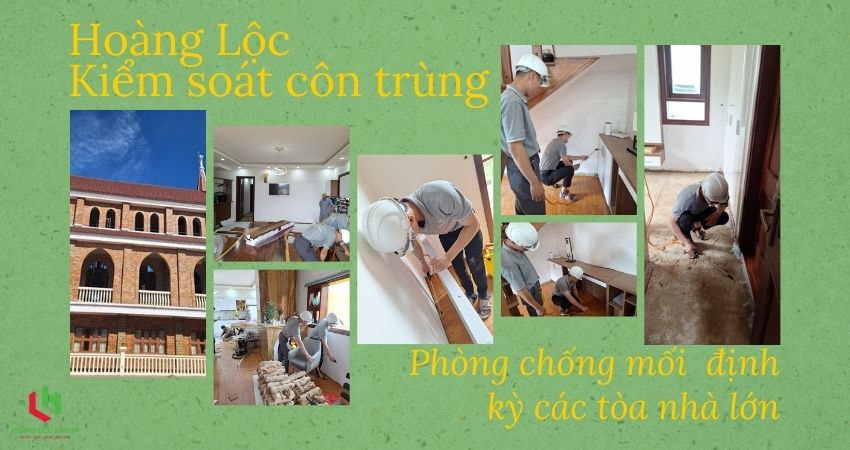 Phun Muỗi Trong Nhà: Dịch Vụ Của Hoàng Lộc Group Đảm Bảo Hiệu Quả