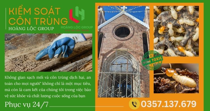 Những Nguy Cơ Từ Mối Mọt Và Cách Phòng Tránh Hiệu Quả Cho Ngôi Nhà Của Bạn – Lời Khuyên Từ Công Ty Dịch Vụ Diệt Mối