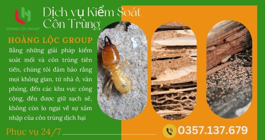 diệt mối tận gốc Hoàng Lộc Group