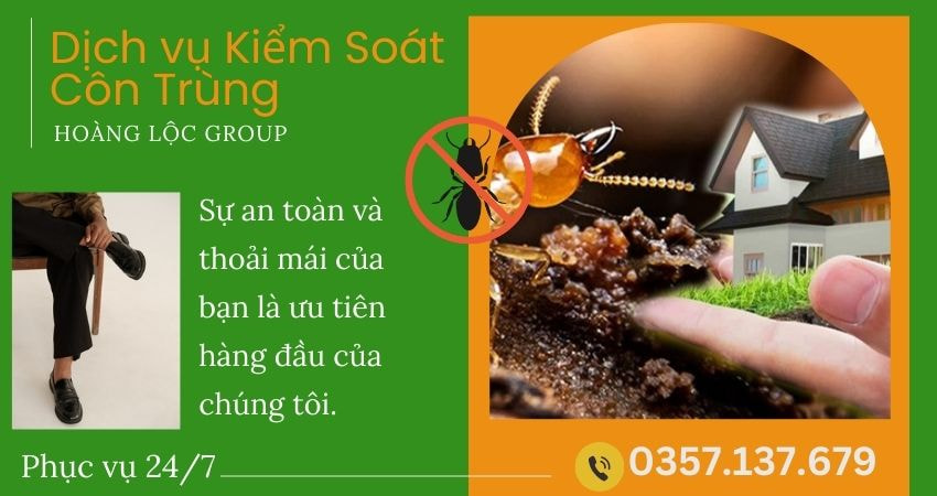Nhận Biết Dấu Hiệu Nhà Bị Mối Tấn Công – Bạn Đã Biết Chưa? Công Ty Diệt Mối Uy Tín Chia Sẻ