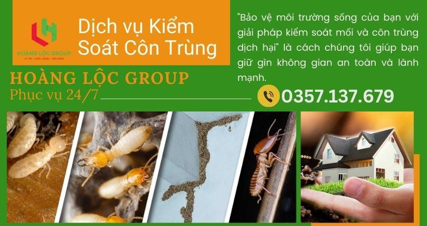 Công ty dịch vụ diệt mối: Đối tác không thể thiếu trong bảo vệ ngôi nhà