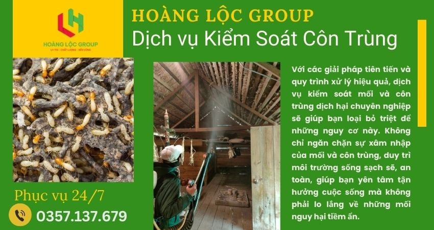 Công Ty Xử Lý Côn Trùng Hoàng Lộc Group - Chất Lượng Đảm Bảo