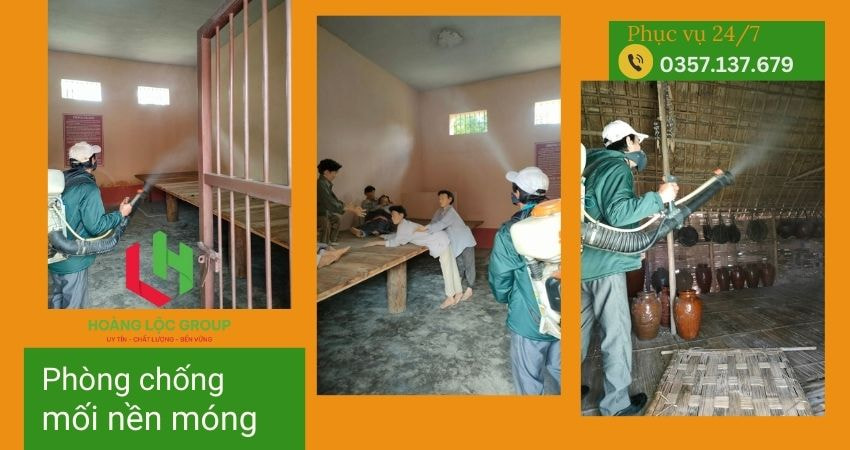 Công Ty Diệt Mối Uy Tín và Chất Lượng Tại Đà Lạt: Liên Hệ Hoàng Lộc Group