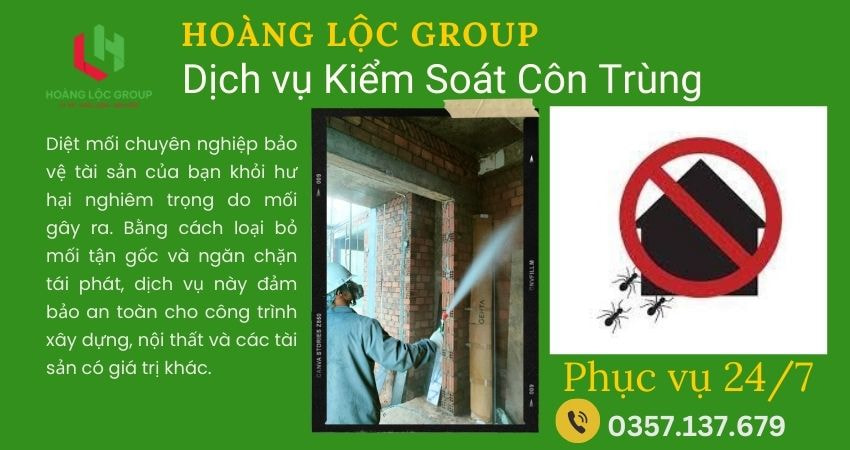 Lợi Ích Của Việc Thuê Công Ty Diệt Mối Tại Nhà