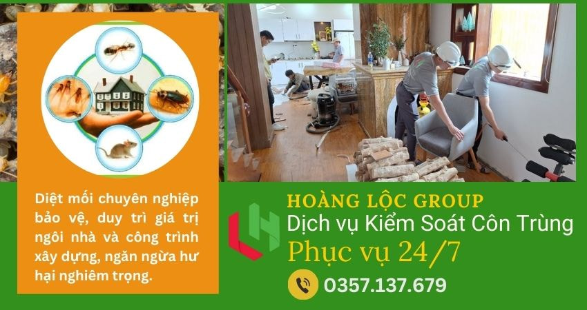 Những Lý Do Bạn Cần Chọn Công Ty Diệt Mối Uy Tín Cho Căn Hộ Mối là kẻ thù không thể xem thường khi nói đến việc bảo vệ ngôi nhà của bạn, đặc biệt là căn hộ. Những con mối nhỏ bé này có thể gây ra thiệt hại nghiêm trọng cho cấu trúc gỗ và nội thất trong căn hộ của bạn. Để đảm bảo sự an toàn và bảo vệ tài sản của mình, việc lựa chọn một công ty diệt mối uy tín là điều vô cùng quan trọng. Dưới đây là những lý do chính tại sao bạn nên chọn công ty diệt mối uy tín cho căn hộ của mình.