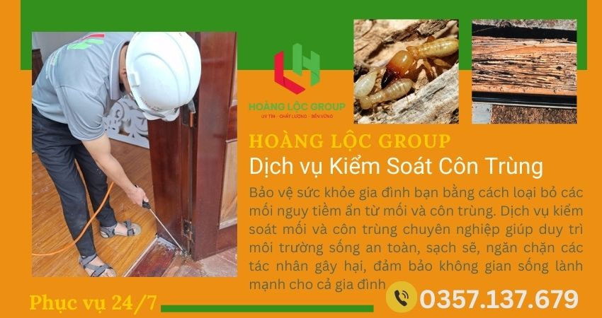 Công ty dịch vụ diệt mối: Bảo vệ tài sản của bạn khỏi sự phá hoại của mối
