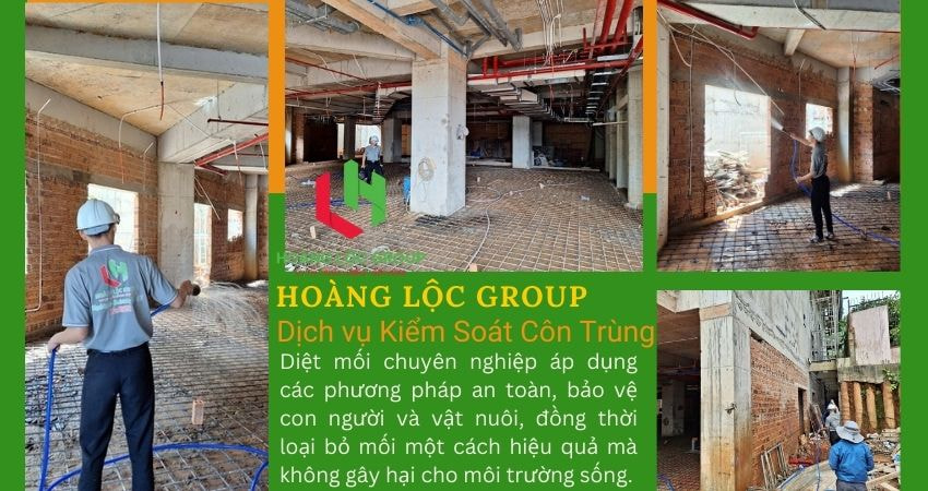 Công Ty Diệt Mối Uy Tín: Giải Pháp Hiệu Quả Cho Mọi Công Trình