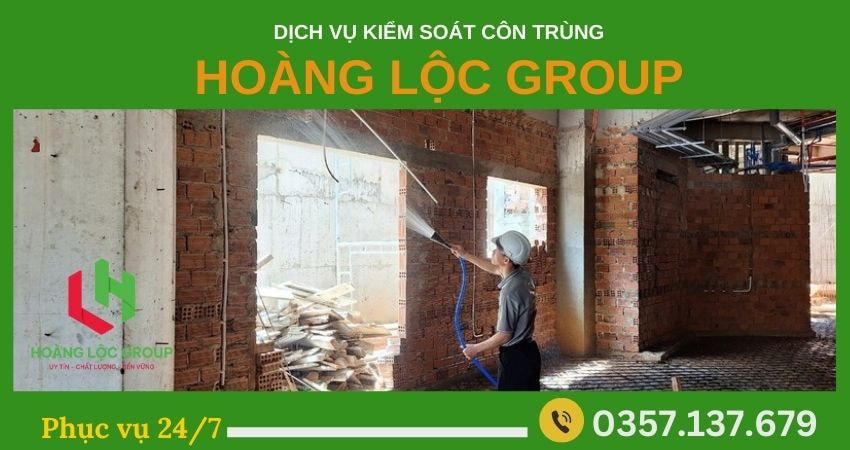 Diệt mối tận gốc với công ty dịch vụ diệt mối chuyên nghiệp