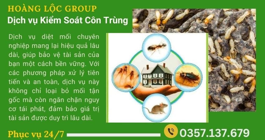 7 Lợi Ích Khi Thuê Công Ty Dịch Vụ Diệt Mối Uy Tín