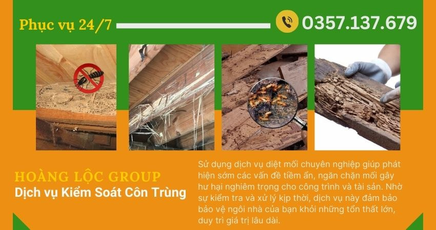 Hoàng Lộc Group - Giải Pháp Diệt Côn Trùng Toàn Diện Cho Gia Đình Bạn