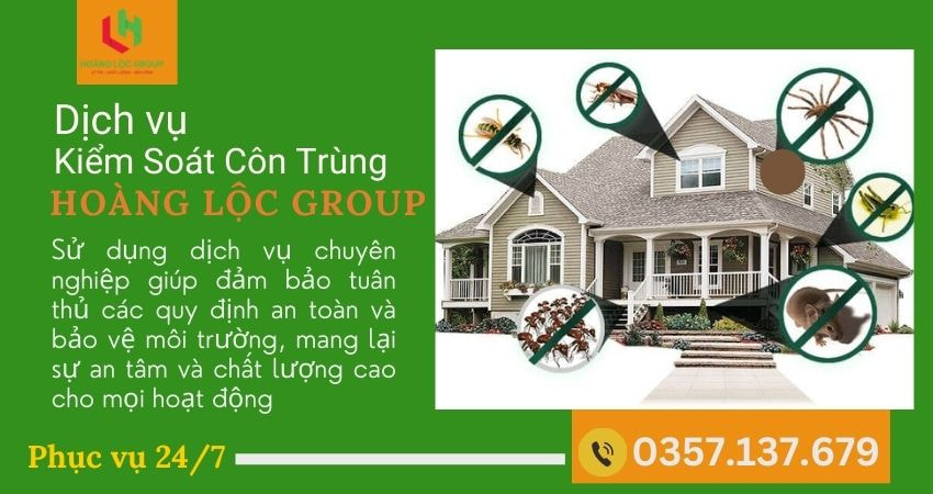 Tại Sao Nên Chọn Công Ty Dịch Vụ Diệt Mối Uy Tín?