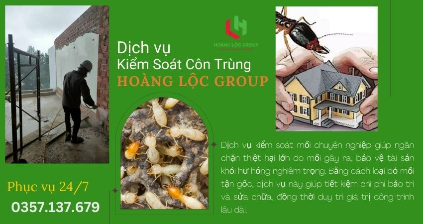 Có cần thực hiện bảo dưỡng định kỳ sau quá trình diệt mối và côn trùng?