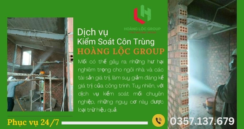 Mối và Côn Trùng Gây Hại Như Thế Nào Cho Ngôi Nhà và Công Trình Xây Dựng?