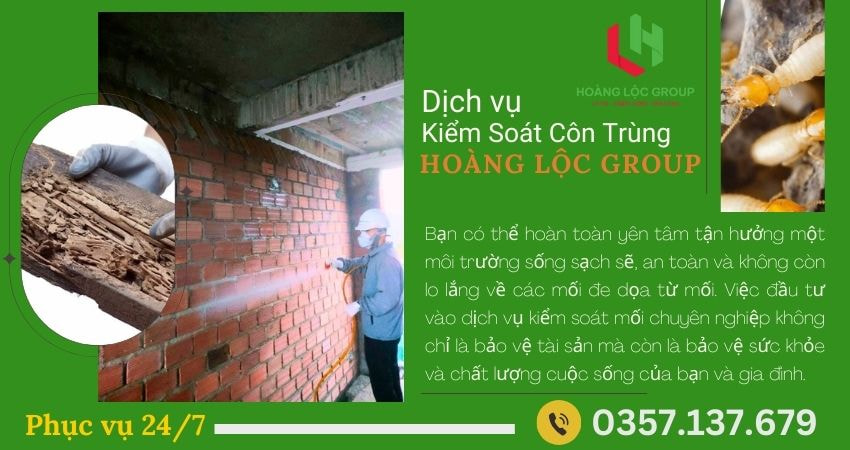 Trước khi bắt đầu xây dựng, việc khảo sát địa hình và đánh giá nguy cơ mối là bước quan trọng đầu tiên. Địa điểm xây dựng cần được kiểm tra kỹ lưỡng để xác định sự hiện diện của mối hoặc điều kiện có thể thu hút chúng. Các chuyên gia sẽ đánh giá các yếu tố như độ ẩm, loại đất, và sự hiện diện của cây cỏ xung quanh – những yếu tố tạo điều kiện thuận lợi cho mối phát triển.