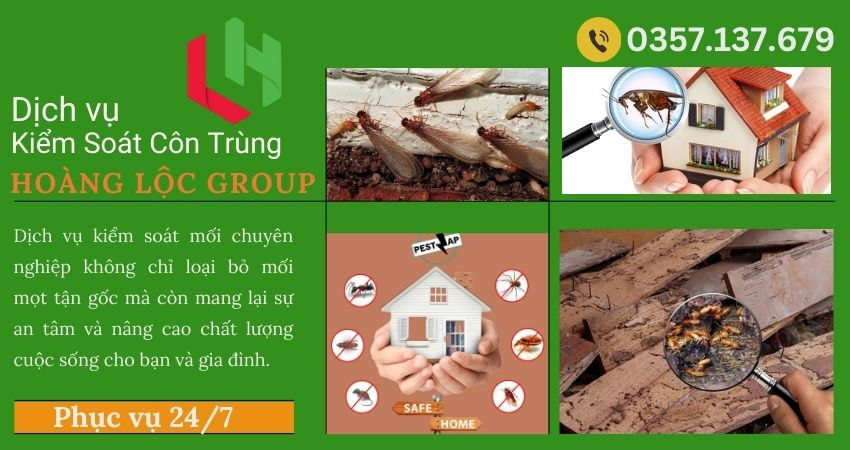 Công Ty Kiểm Soát Côn Trùng Hoàng Lộc Group tại Lâm Đồng