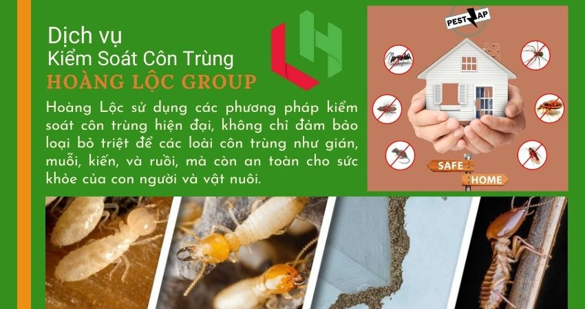 Dịch Vụ Diệt Mối và Côn Trùng Có An Toàn Cho Con Người và Môi Trường Không?