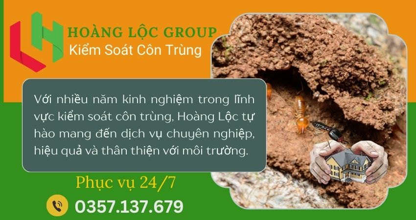 Dịch vụ diệt mốt tận gốc Hoàng Lộc Group